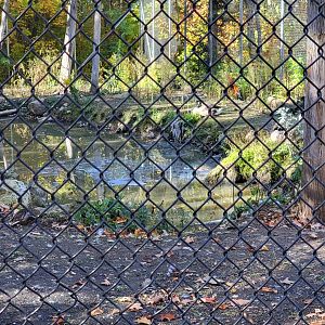 Miller Zoo - Waterfowl aviary