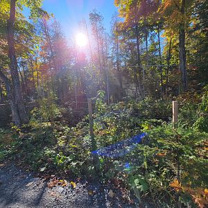 Miller Zoo - Waterfowl aviary