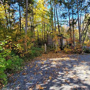 Miller Zoo - Coming up to cougar building