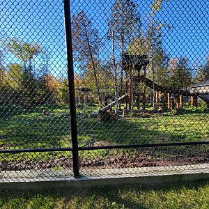 Miller Zoo - Lion and tiger mixed species yard