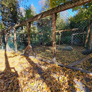 Miller Zoo - Domestic rabbits