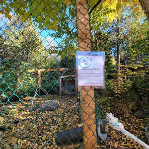 Miller Zoo - Lapins en liberté