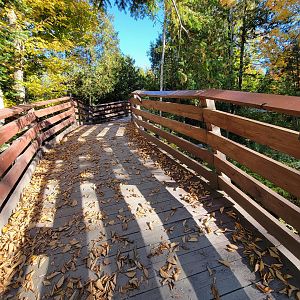 Miller Zoo - A very stable looking boardwalk
