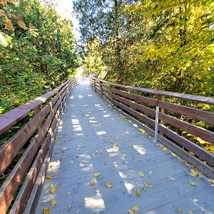 Miller Zoo - Boardwalk