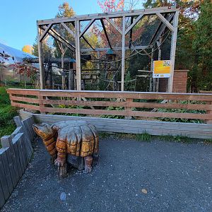 Miller Zoo - Squirrel monkeys