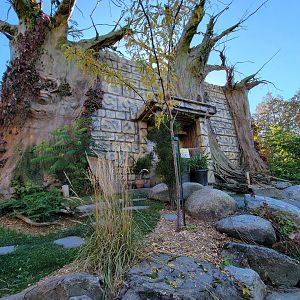 Miller Zoo - Serre Tropicale