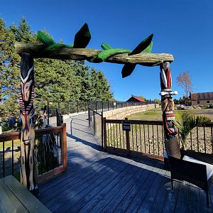 Miller Zoo - African savanna path