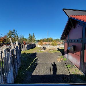 Miller Zoo - Back of Malayan tapir