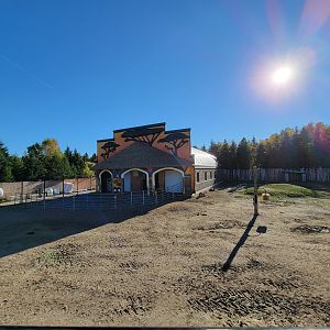Miller Zoo - African savanna (Chapman's zebra, common eland, scimitar oryx)