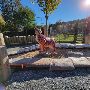 Miller Zoo - A tiger art