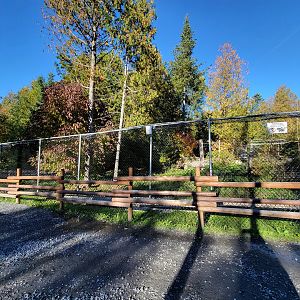 Miller Zoo - White wolf