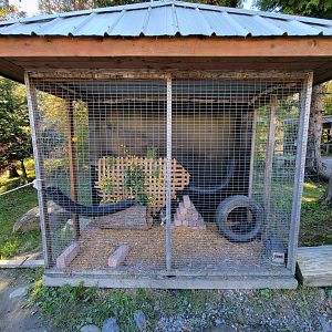 Miller Zoo - Unsigned/unseen, small mammal?