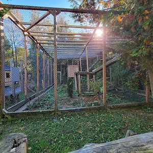 Miller Zoo - Servals