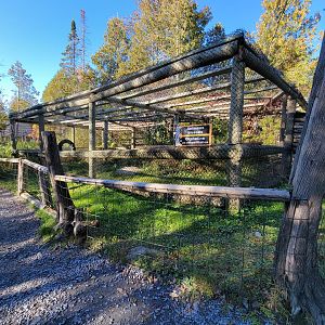 Miller Zoo - "orphans and rehabilitations", appeared empty