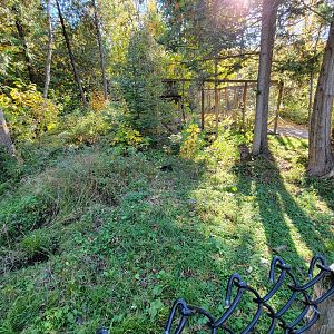 Miller Zoo - Domestic rabbits hopping around