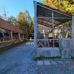 Miller Zoo - Coatis on left, some sort of hawk on right