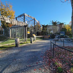 Miller Zoo - Australia / black and white ruffed lemurs / Serre Tropicale