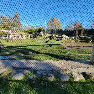 Miller Zoo - Australia