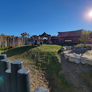 Miller Zoo - Malayan tapir snack time