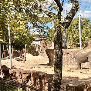 Asian Elephant Exhibit