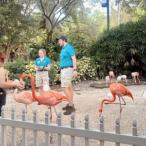 Keepers conducting Flamingo Encounter