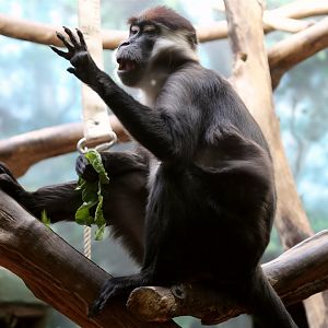 My hand looks funny…