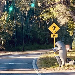 Mail Box outside Facility