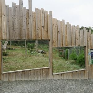Iberian Lynx enclosure