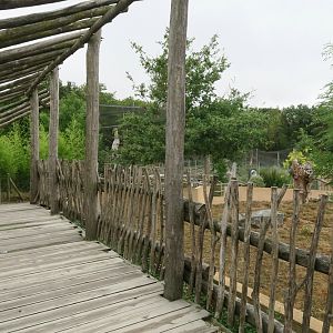View to Bald Eagle aviary with meerkats on the right side