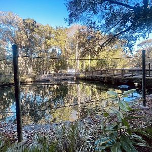 Nile Hippopotamus Exhibit