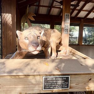 Florida Panther Dedication