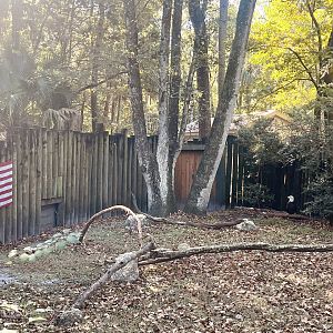 American Bald Eagle Exhibit