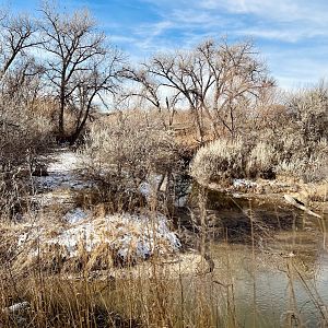 River Bottom Habitat