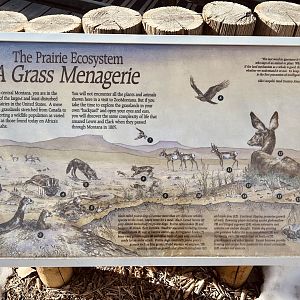 Prairie Ecosystem Sign