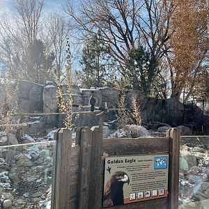Golden Eagle Exhibit