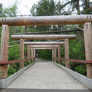 Tunnel Through Eagle Aviary