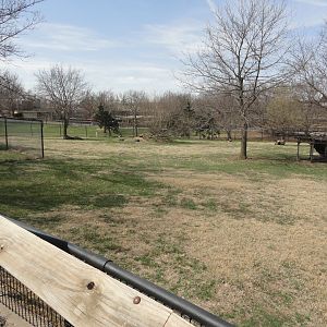 North American Exhibit - Pronghorn & White Tailed Deer Exhibit - Left Side