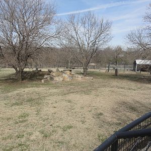 North American Exhibit - Pronghorn & White Tailed Deer Exhibit - Right Side
