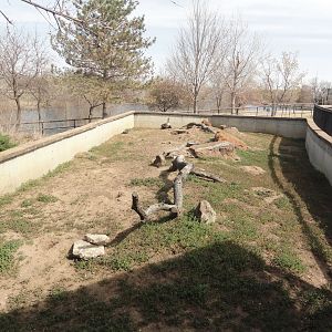 Black Tailed Prairie Dog Exhibit