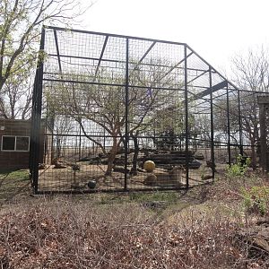 Old Amur Leopard Exhibit - Temporary Holding for African Lion while Pride of Prairie was Built