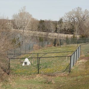 Maned Wolf Side Exhibit