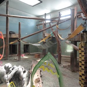 Indoor Chimpanzee Exhibit