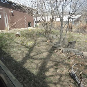 Giant Anteater & Capybara Exhibit