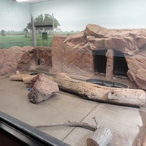 Giant Anteater Indoor Exhibit