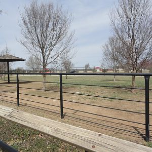 Ostrich Exhibit - East