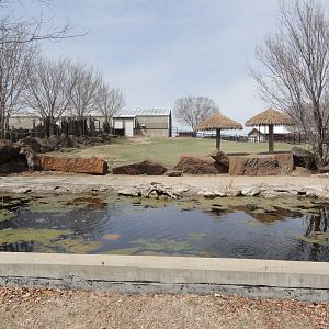 Southern White Rhino Exhibit - North
