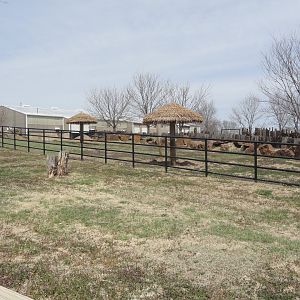 Southern White Rhino Exhibit - South