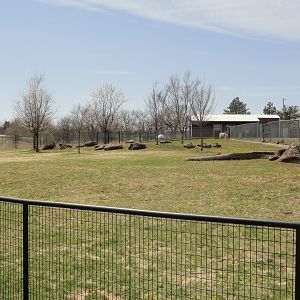 Addax Exhibit - South