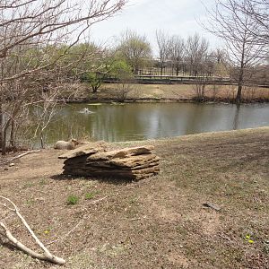 Capybara Exhibit