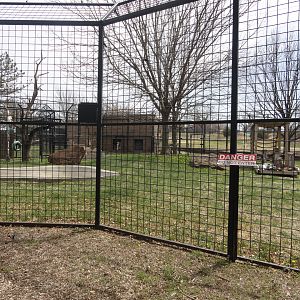 Andean Bear Exhibit - West